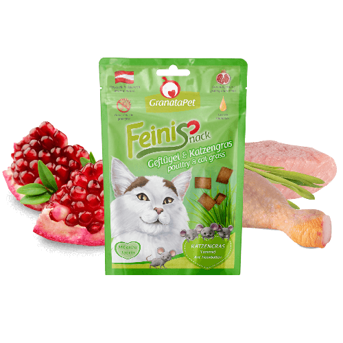 feinisnack 家禽 和 猫草