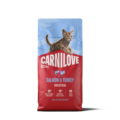ACTIVE Dry Food Made with Salmon & Turkey for Kittens
