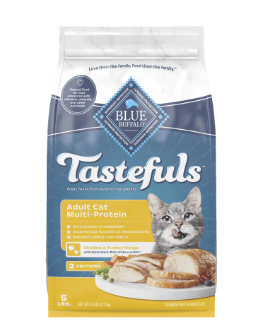 Cat Chicken & Turkey Recipe